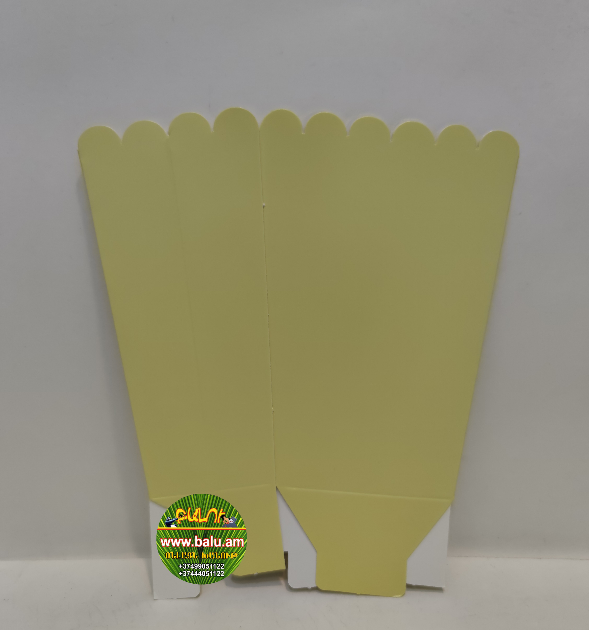 Polish_20200901_174454659