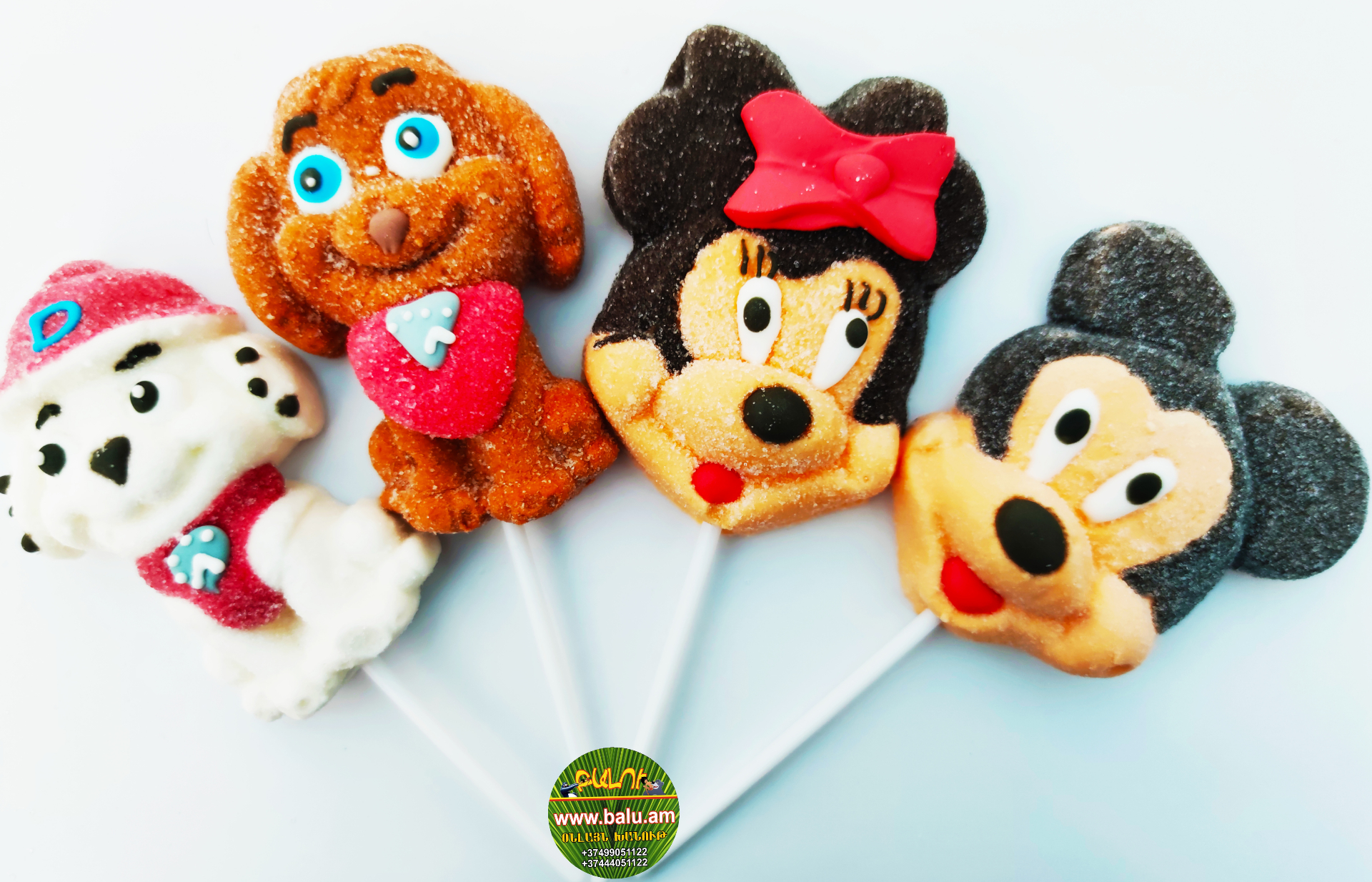 Polish_20210201_191332863