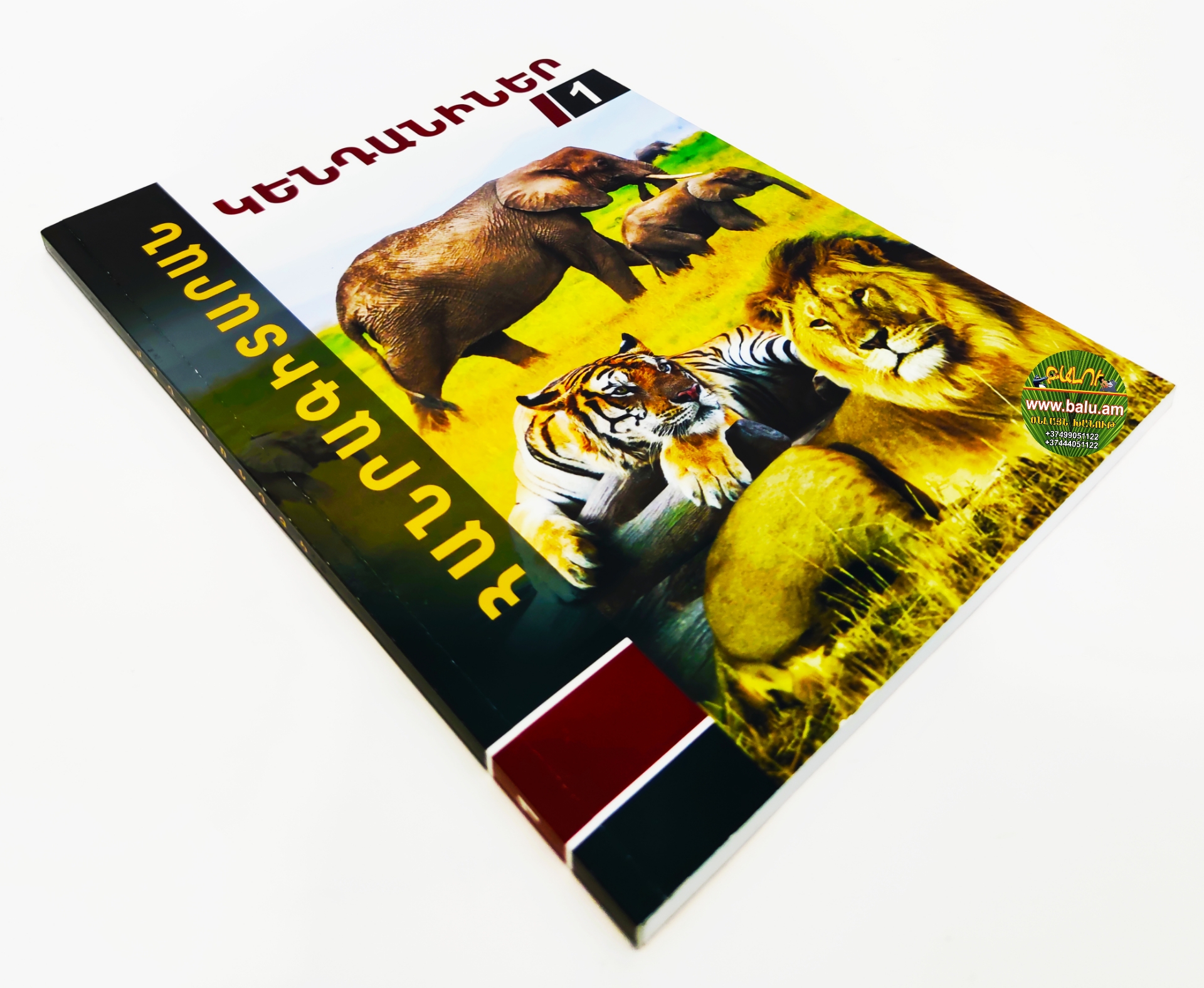 Polish_20210219_095016005