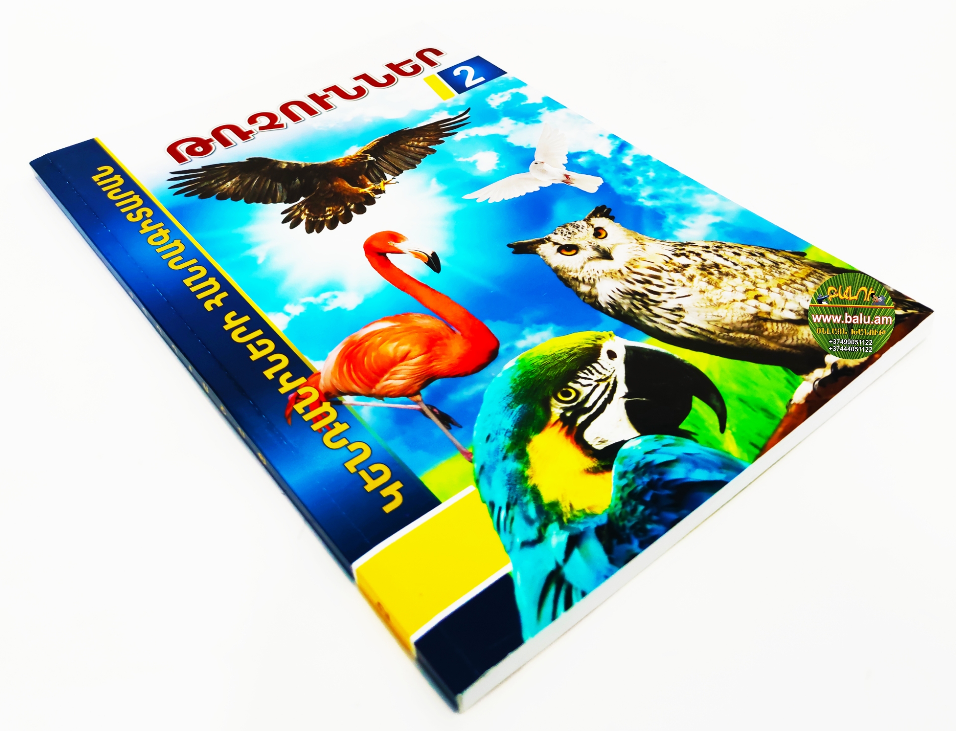 Polish_20210219_095036664